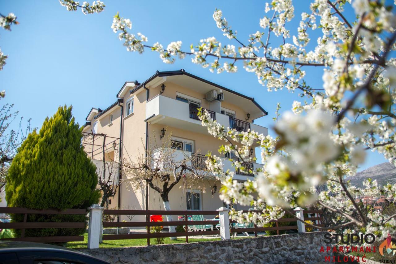 Studio Apartmani Milovic Trebinje Bagian luar foto