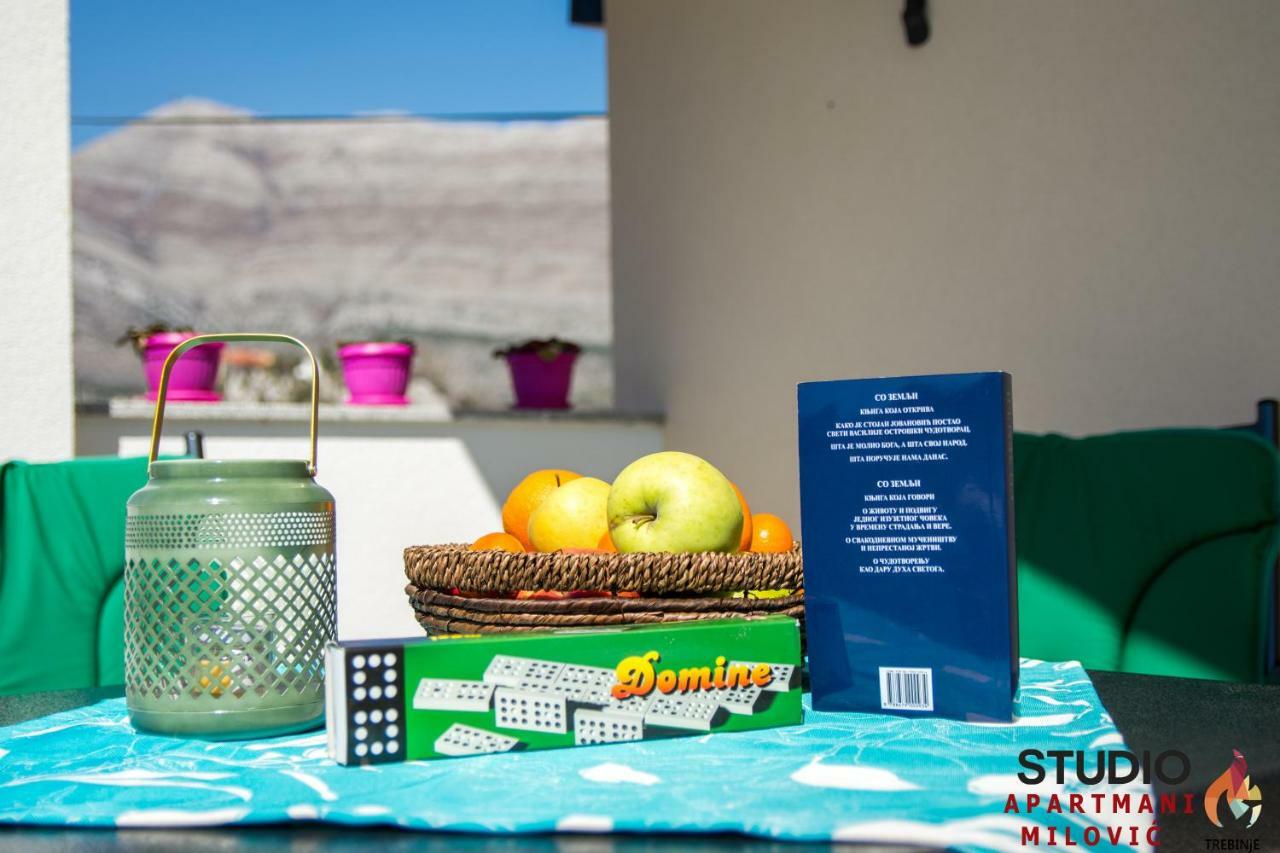 Studio Apartmani Milovic Trebinje Bagian luar foto